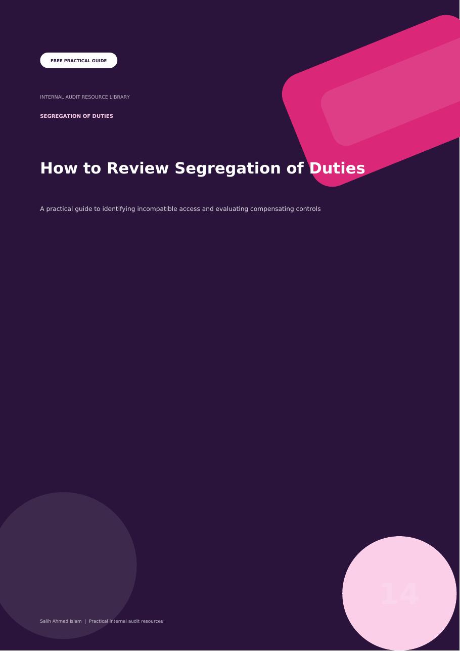 How to Review Segregation of Duties free PDF cover
