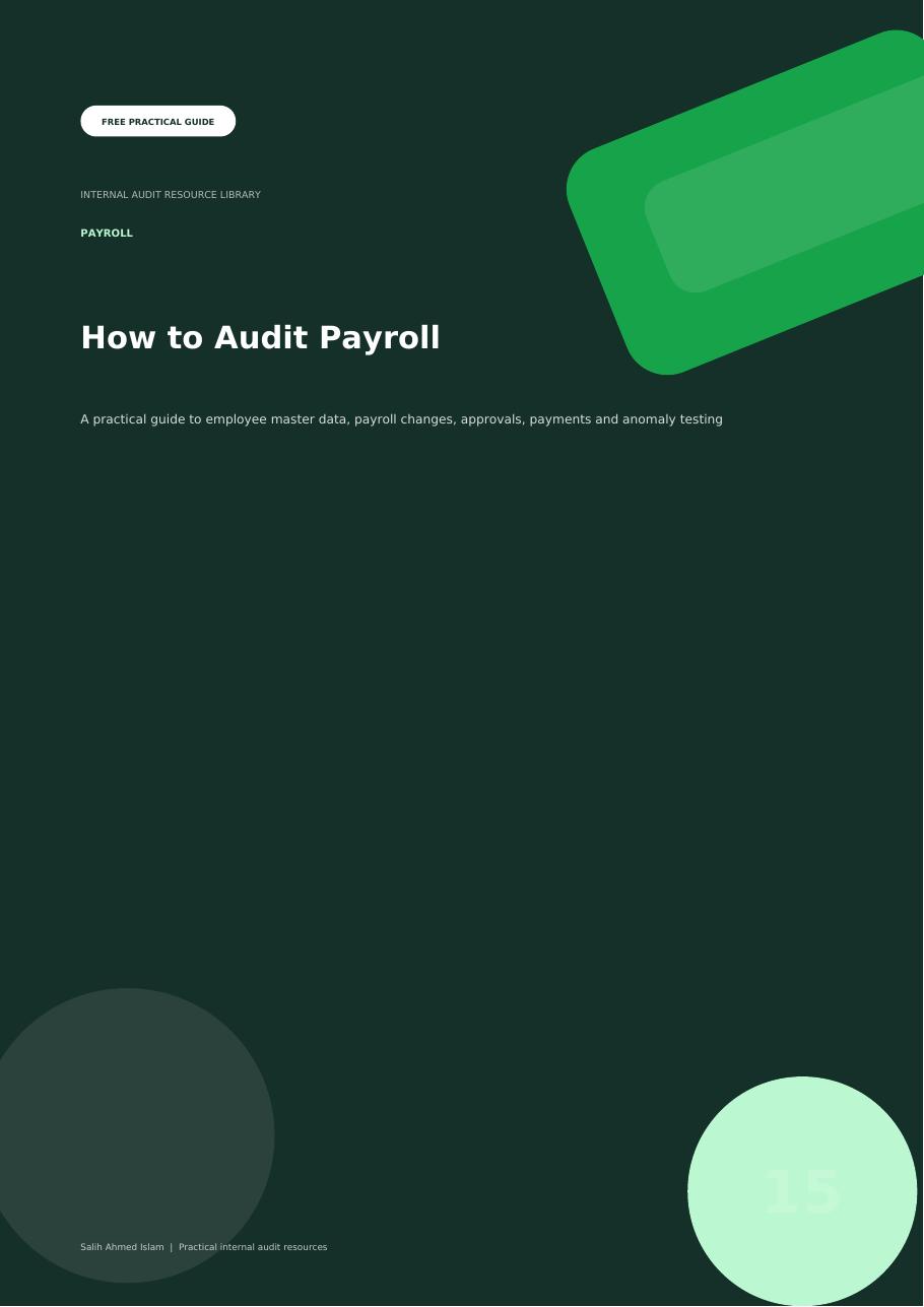 How to Audit Payroll free PDF cover
