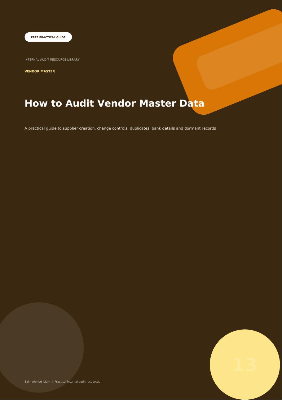 How to Audit Vendor Master Data free PDF cover