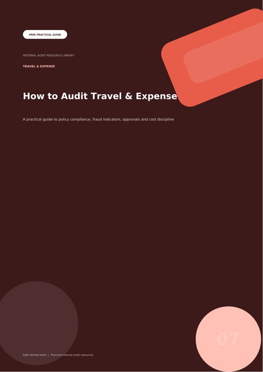 How to Audit Travel & Expense free PDF cover